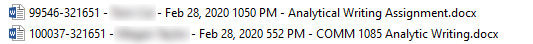 Two example files. Each has had a long numeric code attached to the start of the filename, as well as the submitter's name (blurred out) and the submission date.