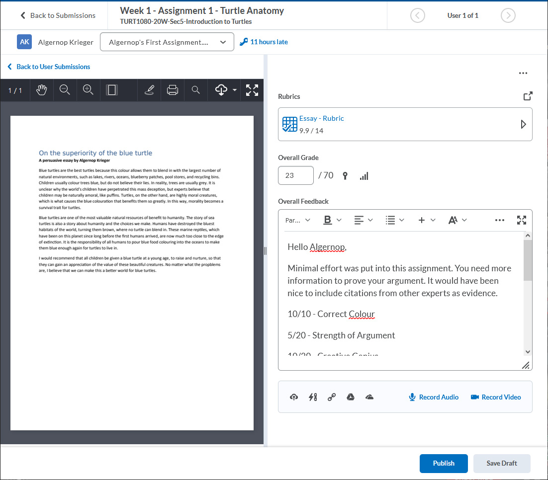 A student's assignment submission has been opened for grading. The document is displayed on the left side, while the list of evaluation options is displayed in a panel on the right.