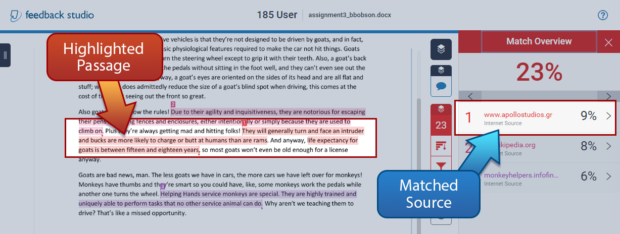 assignment similarity checker